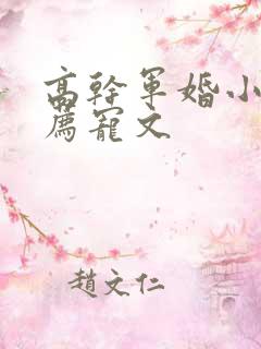 高干军婚小说推荐宠文