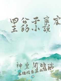 四公子宁宸九公主的小说