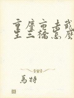 重庆市去武隆天生三桥怎么走