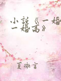 小说《一婚更比一婚高》