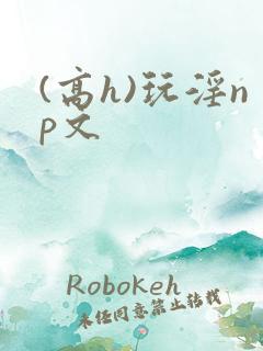 (高h)玩淫np文