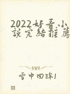 2022好看小说完结推荐言情