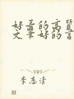 好看的高质量的文笔好的言情