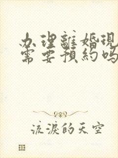 办理离婚现在还需要预约吗