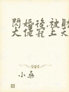 闪婚后,被财阀大佬宠上天阅读全文全文