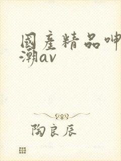 国产精品呻吟高潮av