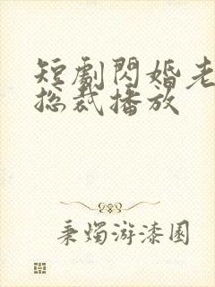 短剧闪婚老公是总裁播放