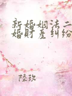 新婚姻法二婚离婚财产纠纷律师