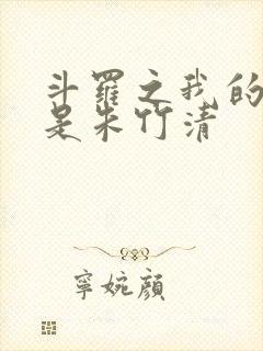 斗罗之我的老婆是朱竹清