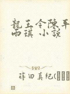 龙王令陈平,苏雨琪 小说