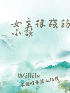 女主很强的快穿小说