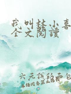 我叫林小喜小说全文阅读