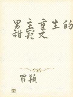 男主重生的po甜宠文