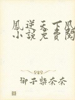 凤逆天下凰北月小说免费阅读