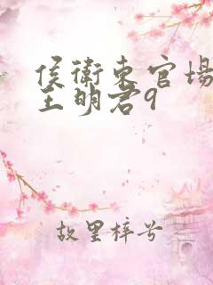 侯卫东官场笔记王明君9