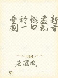 爱于燃尽新生短剧一口气看完