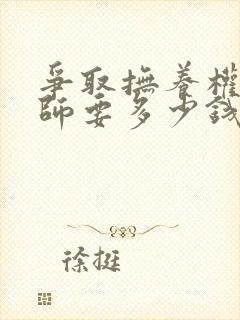 争取抚养权请律师要多少钱