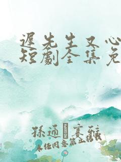 迟先生又心动了短剧全集免费播放剧