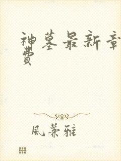 神墓最新章节免费