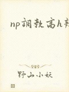 np调教高h辣