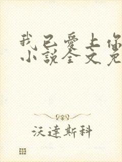 我已爱上你陈超小说全文免费阅读