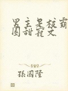 男主是校霸的校园甜宠文