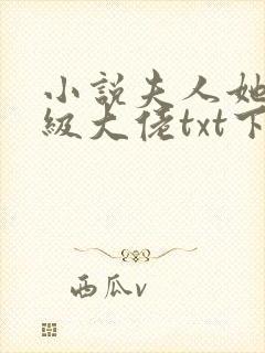 小说夫人她是满级大佬txt下载