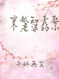 穿越知青娶了三个老婆的小说