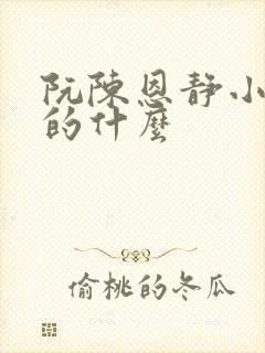 阮陈恩静小说讲的什么