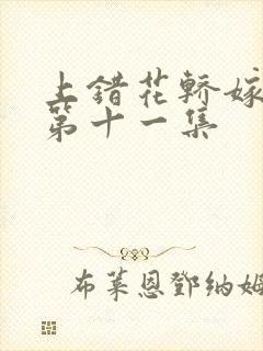 上错花轿嫁王爷第十一集