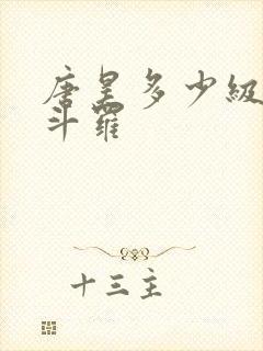 唐昊多少级封号斗罗