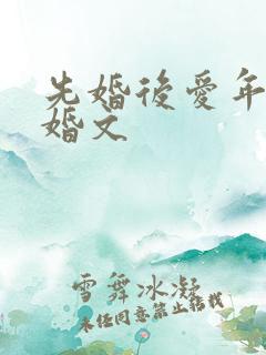 先婚后爱年代军婚文