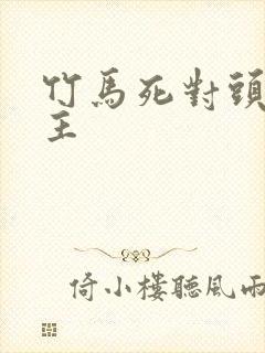 竹马死对头双男主