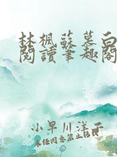 林枫苏慕白免费阅读笔趣阁