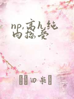 np,高h,纯肉总受