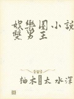 娱乐圈小说推荐双男主