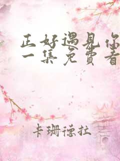 正好遇见你最新一集免费看