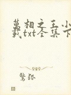 万相之王小说下载txt全集下载