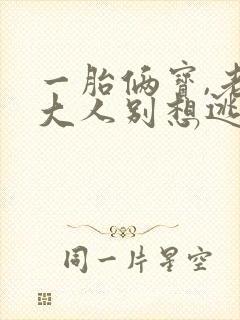 一胎俩宝,老婆大人别想逃小说txt