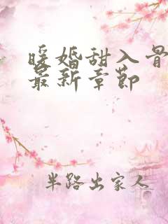 暖婚甜入骨小说最新章节