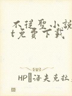 不从圣小说txt免费下载