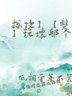 总攻】【双性攻】玩坏那个攻