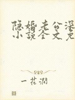 隐婚老公深夜来小说全文免费阅读