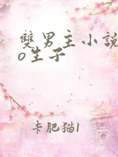 双男主小说abo生子