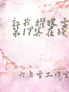 许我耀眼电视剧第17集在线