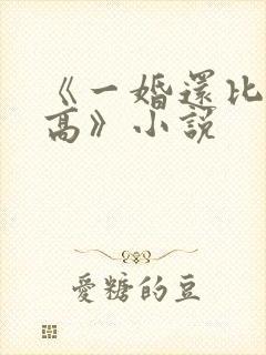《一婚还比一婚高》小说