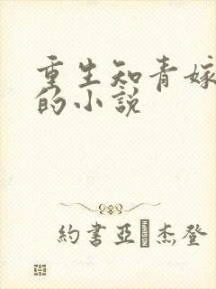 重生知青嫁糙汉的小说