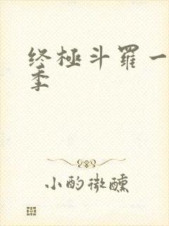 终极斗罗一共几季