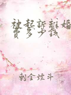 被起诉离婚律师费多少钱