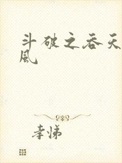 斗破之吞天决萧风